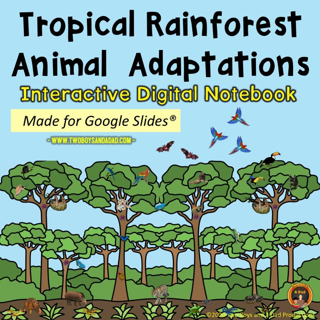 Wallpaper #sXf8J5MB-pgBXx60hKh2206 Tropical Rainforest Animal Adaptations Google Slides Notebook Made