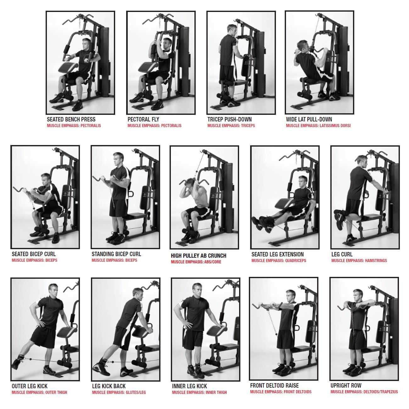 Wallpaper #FF7FB The Suspension Workout Chart Shows How to Do It and What You Can Do with It