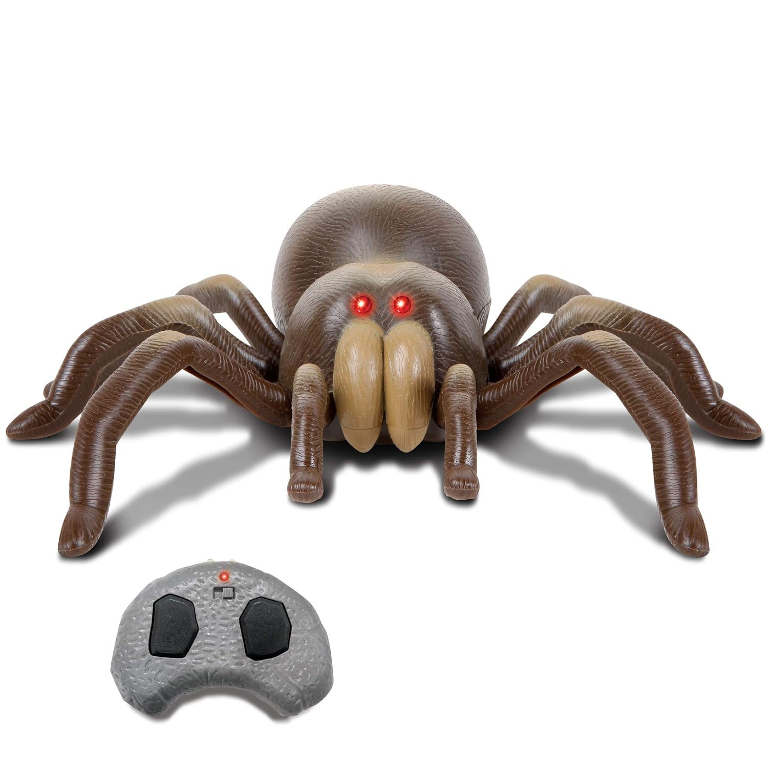 Wallpaper #1fQOOpMBKFX8bn3r-3cr4 Top 7 Best Remote Control Spider Toys Reviews in 2021