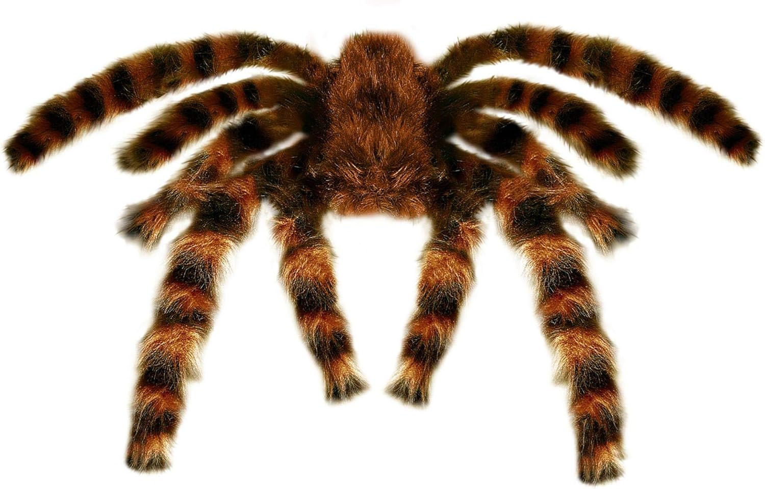 Wallpaper #CfQhOpMBKFX8bn3r83gp358 Amazoncom Tarantula Furry 65cm Bendable Accessory for Fancy Dress