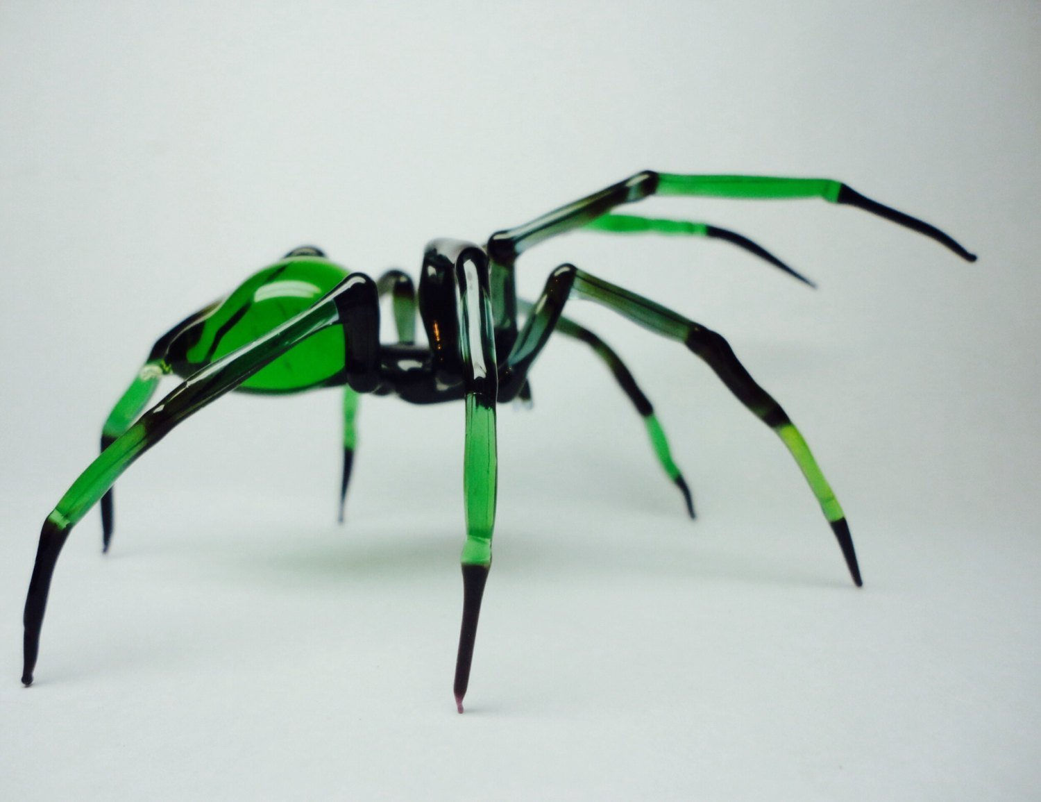 Wallpaper #H_SpOZMBKFX8bn3rSXeg267 Amazoncom Spider Lampworked Lifelike Glass Arachnid Spider Figurine